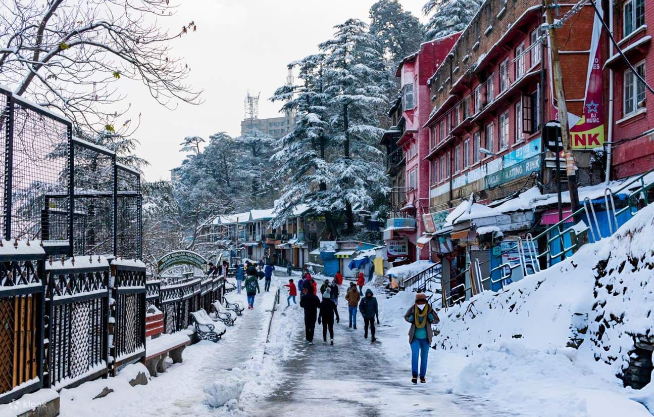 Himachal Tour Package (Shimla & Manali)